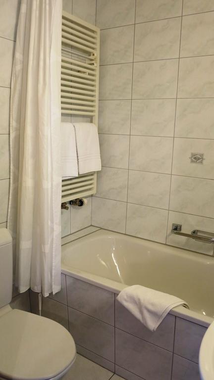 Hotel Alpina 2*