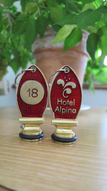 Hotel Alpina
