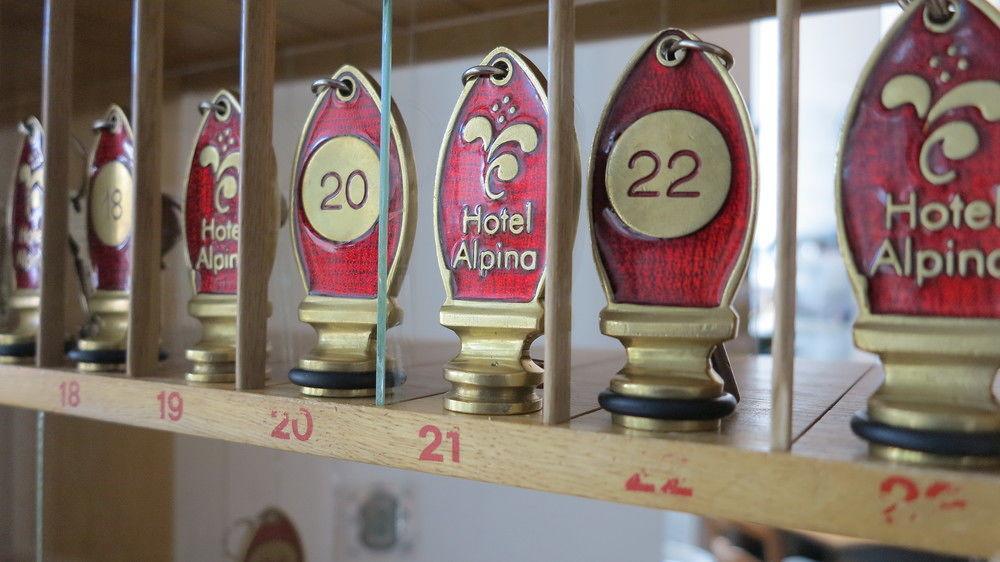 Hotel Alpina 2*