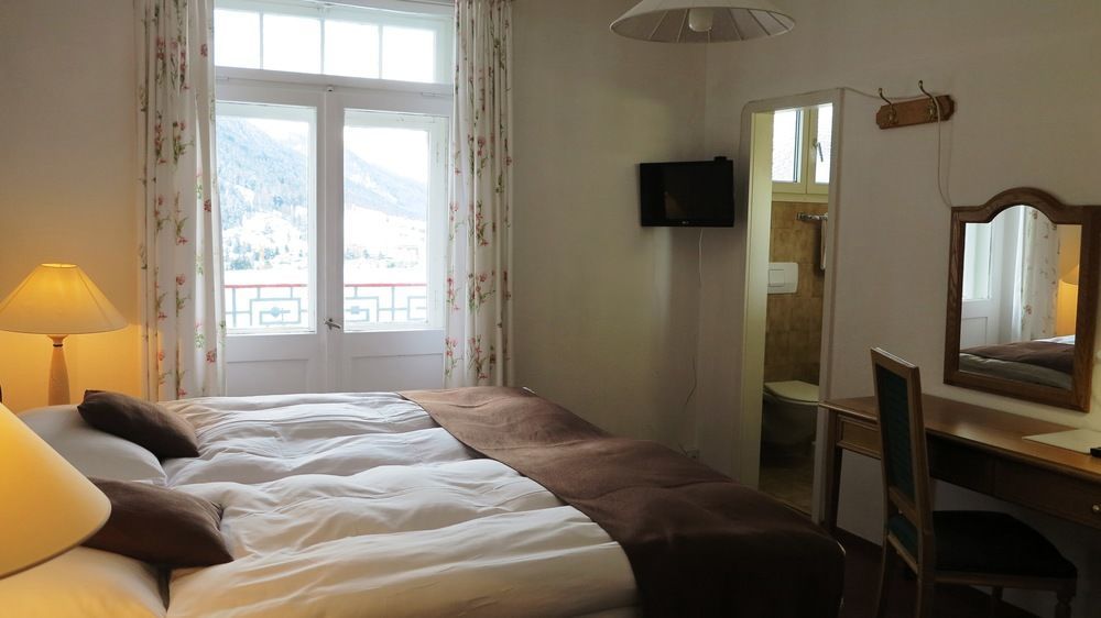 Hotel Alpina 2*